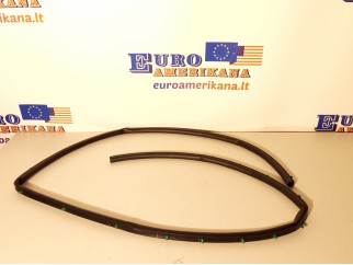 Front Seal 